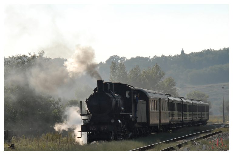 625 017. in manovra a Monte Antico.1